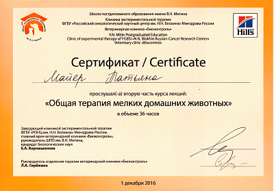 Общая терапия мелких домашних животных. 1 декабря 2016г.