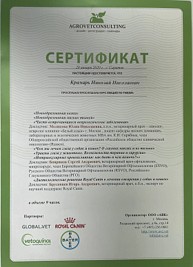 Курс лекций. 28 января 2020г.