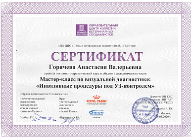 Мастер-класс по визуальной диагностике: Инвазивные процедуры под УЗ-контролем. 06 марта 2020г.