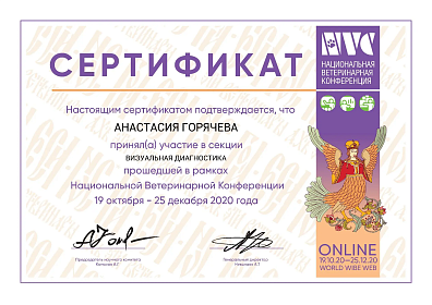 Визуальная диагностика. 19 октября-25 декабря 2020г.