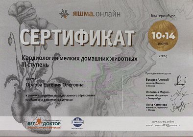Кардиология мелких домашних животных III ступень. 10-14 июня 2024г.