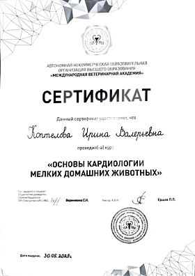 Основы кардиологии мелких домашних животных. 30 мая 2025г.