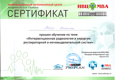 Интервенционная радиология и хирургия респираторной и мочевыделительной систем.