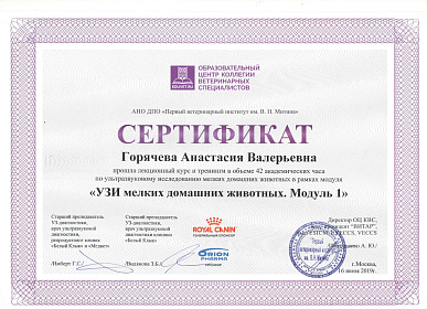 УЗИ мелкий домашних животных. Модуль 1. 16 июня 2019г.