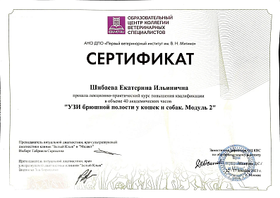 УЗИ брюшной полости у кошек и собак. Модуль 2. 12-17 декабря 2023г.