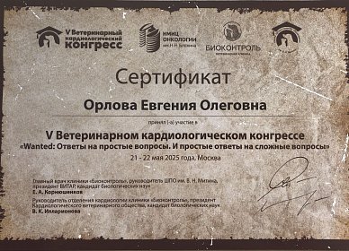 Ответы на простые вопросы. И простые ответы на сложные вопросы. 21-22 мая 2025г.
