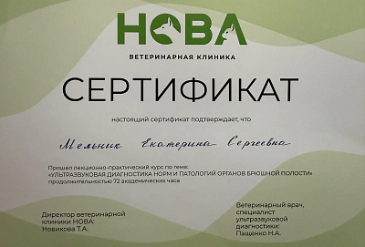 Ультразвуковая диагностика норм и патологий органов брюшной полости.