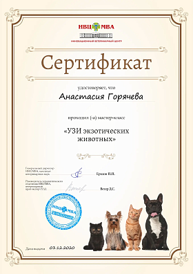 УЗИ экзотических животных. 03 декабря 2020г.