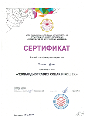 Сертификат ЭХОкардиография собак и кошек.png