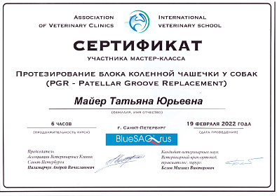 Протезирование блока коленной чашечки у собак. 19 февраля 2022г.
