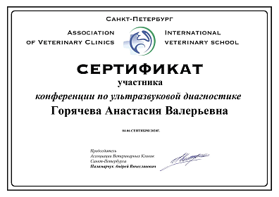 Конференция по ультразвуковой диагностике. 04-06 сентября 2020г.