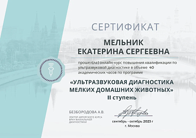 Ультразвуковая диагностика мелких домашних животных II ступень. сентябрь-октябрь 2023г.