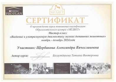Введение в ультразвуковую диагностику мелких домашних животных. ноябрь-декабрь 2024г.