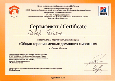 Общая терапия мелких домашних животных. 3 декабря 2015г.