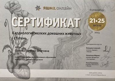 Кардиология мелких домашних животных I ступень. 21-25 августа 2023г.