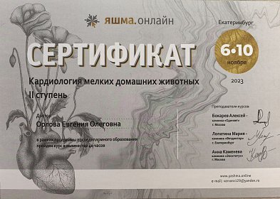 Кардиология мелких домашних животных II степень. 06-10 ноября 2023г.