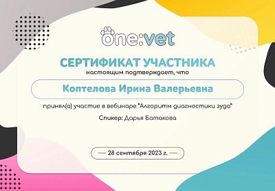 Алгоритм диагностики зуда. 28 сентября 2023г.