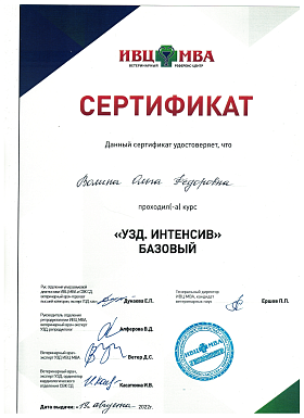 Сертификат УЗИ базовое.png